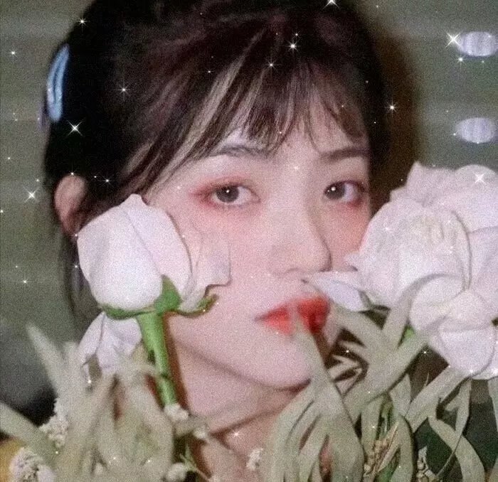 掌门低调点 动态漫第一季